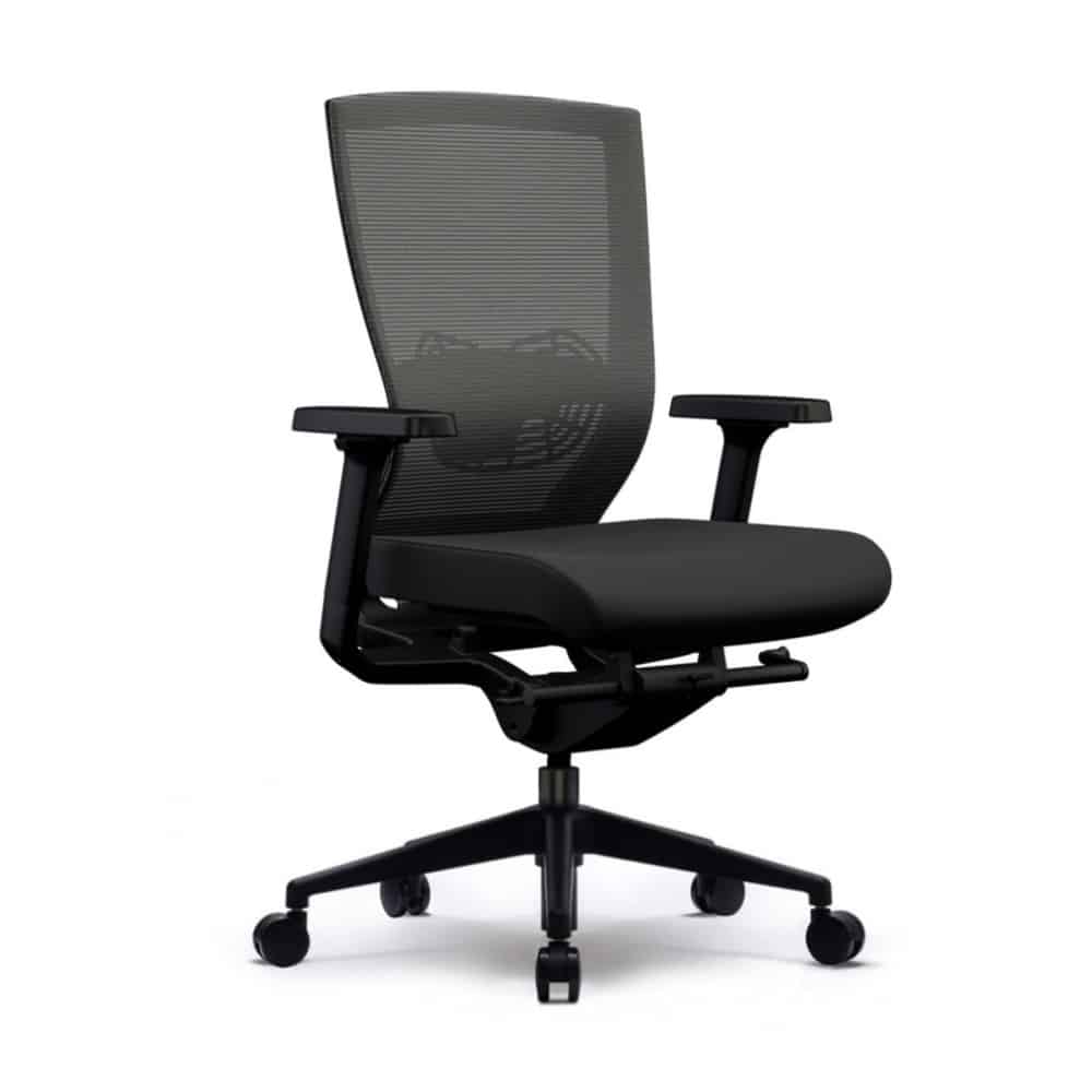 X80 Ergonomic Task Chair - Lumbar Support with Adjustable Arms - Black